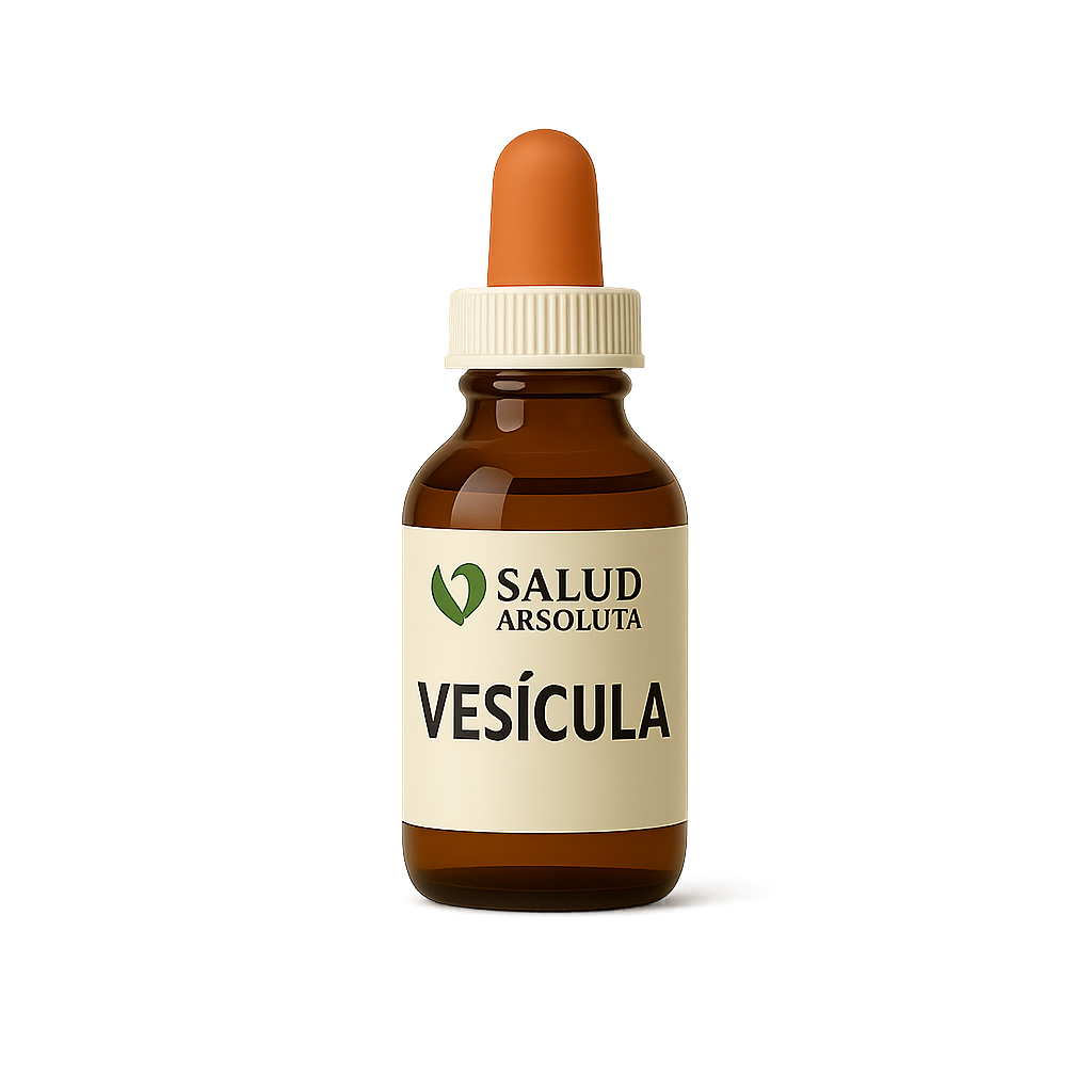 VESÍCULA