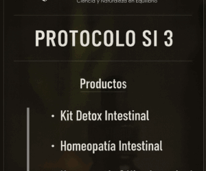PROTOCOLO SI 3